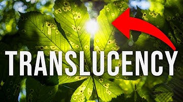 THIS TEXTURE WILL MAKE OR BREAK YOUR UE 5 FOLIAGE!!!