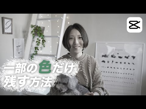 モノクロ映像の中の一部の色だけ残す編集方法 | Capcut Tutorial
