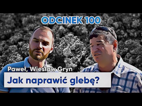 Wideo: Jak nakładać siarkę na glebę?