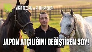 A PRICELESS BLOODLINE - Horse Stories with Yiğit Tezcan