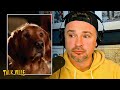 Tom welling shares the nasty reality of working with dogs