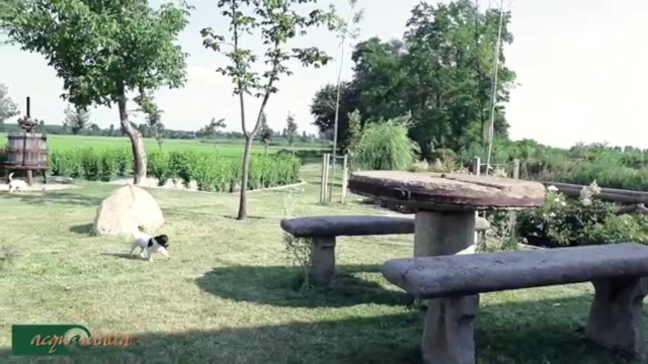 Acquamatta Green Soul Restaurant YouTube