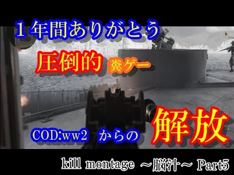 【COD:ww2】kill montage～脳汁～Part5  ww2からの解放