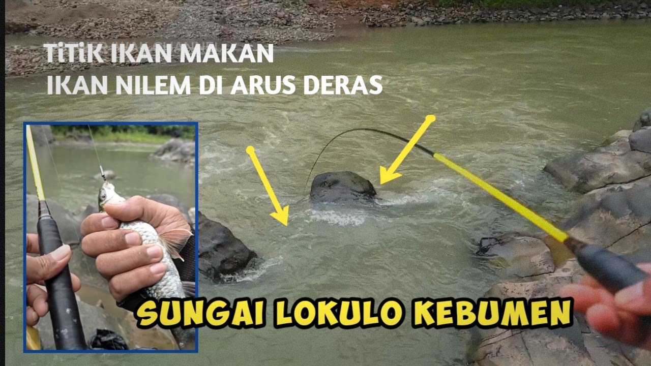 GILA NI IKAN NILEM BABON PERLAWANAN NYA BIKIN PEGEL DI TANGAN !! TEKNIK NUTUL TROLING #ngeweriwak