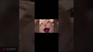 edit for my brooo #shortvideo #automobile #livereplay #everyon'sfeed#trending