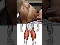 Most Effective Leg Workout for Power Strength & Siza #shorts #youtubeshorts #ytshorts #youtube