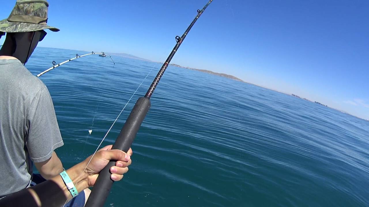 Fishing in Puerto Peñasco YouTube