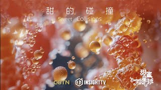 Sweet Planet Episode 5: Sweet Collisions | Trailer