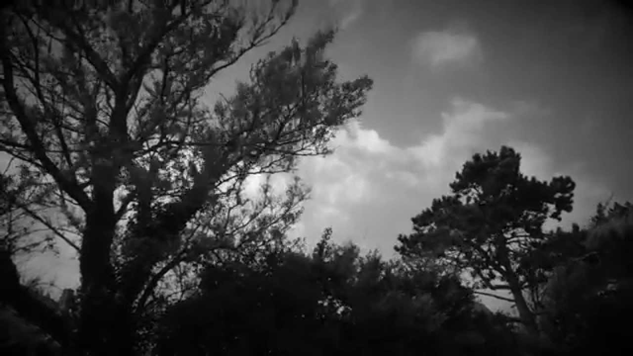 DIRTY PRIMITIVES " Hold me "