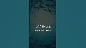 سورة المؤمنون#القرآن_الكريم #المصحف #راحة_نفسية #explore #اكسبلور #لايك #duet