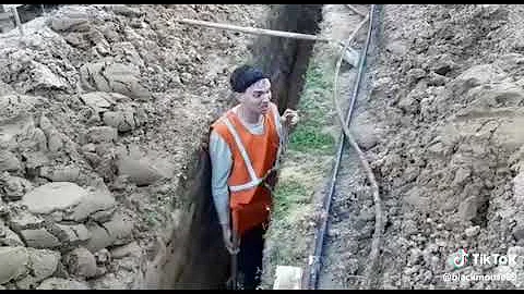 🐍 #прикол. змея шипит ))) 🐍