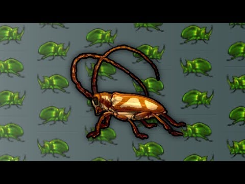 Lioden Feature Mapping: Beetle Game