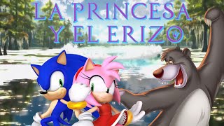 Mv Lograremos Ser Humanos La Princesa Y El Erizo