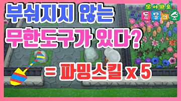 튀동숲 금도구 튀동숲 금도구