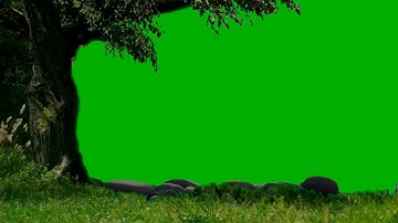 4K Tree And Grass | Green Screen | | Green Screen Animation |