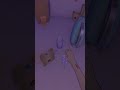 How to make Coffee #gaming #miside