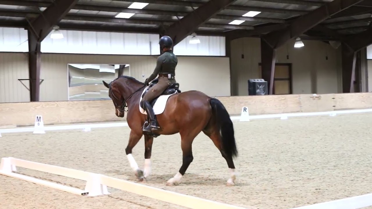 Sue Martin Clinic February 2026 Day 1