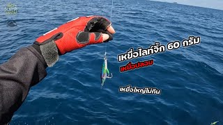 ตกเหยื่อปลอมแบบไลท์จิ้กกิ้ง (Light Jigging) หมายเลในภูเก็ต | เดี๋ยวSuphaพาไป