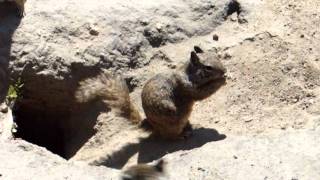 DSCF4072.AVI