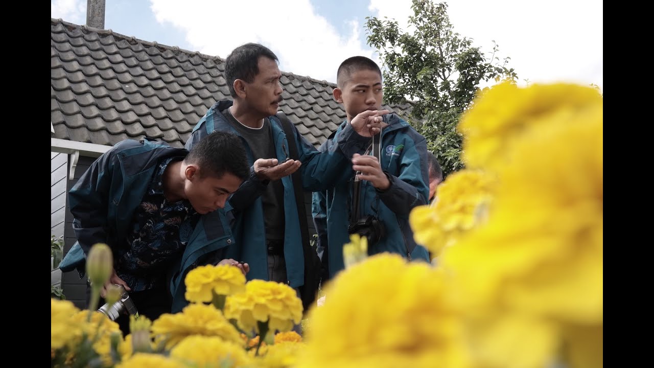 Kunjungan SMK Pertanian Ke Belanda