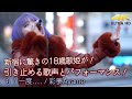 【 圧巻 】新宿に驚きの18歳歌姫が!行き交う人を引き止める歌声とパフォーマンス!   オリジナル曲「 もう一度.... 」 " 彩夢 Ayame " 新宿路上ライブ 4K映像