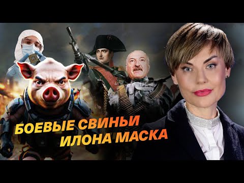 Боевые свиньи Илона Маска