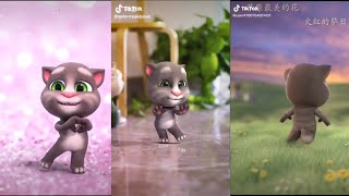 Tổng hợp tik tok cute của mèo tom|Tổng hợp tik tok cute part 2