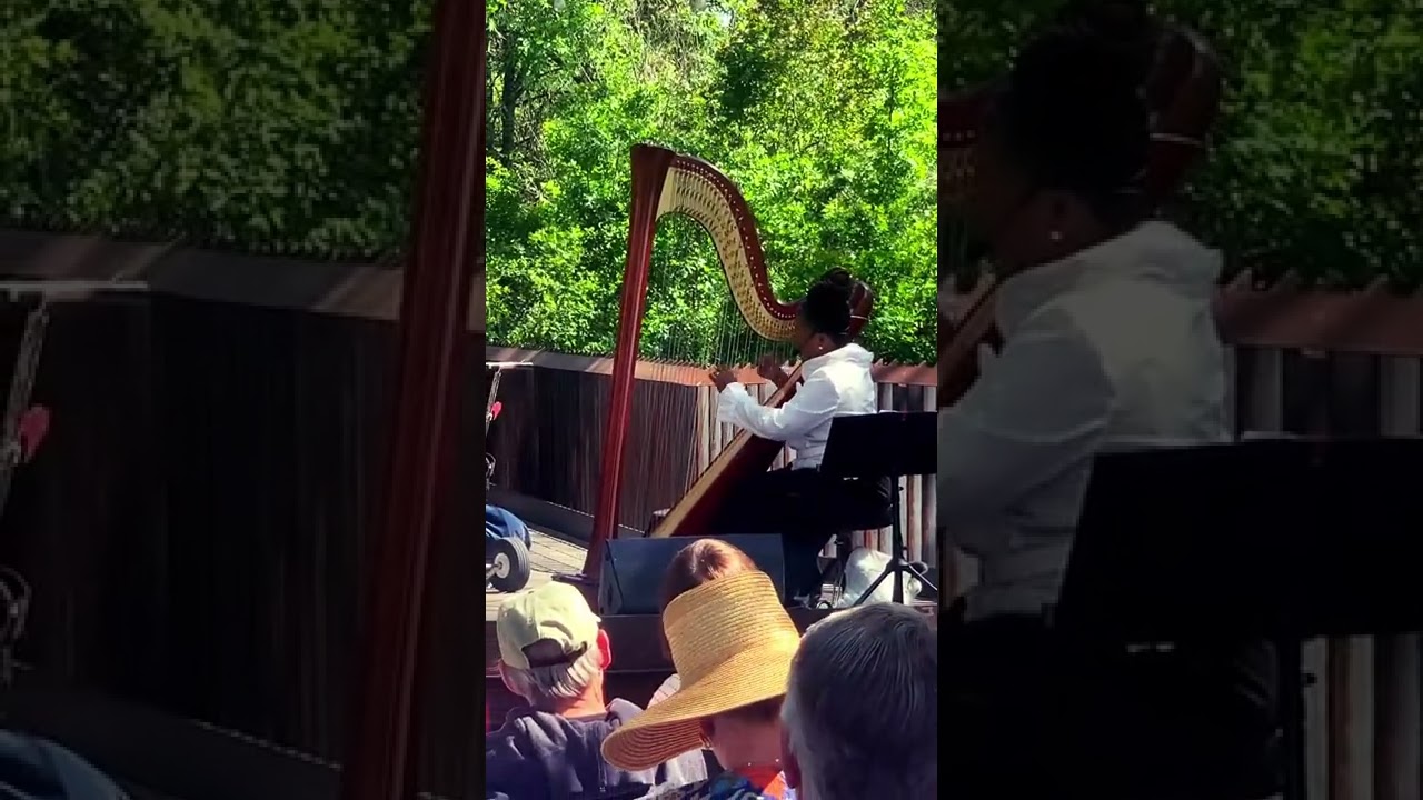 Destiny Muhammad on Harp at Harmon Guest House