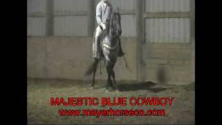MEYER HORSE CO. - MAJESTIC BLUE COWBOY.qt