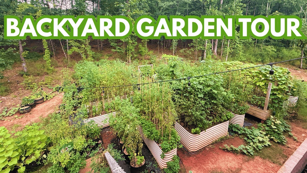 Garden Tour and Harvest | 2 Day Harvest and Gearing Up for Fall (Week 1 ...