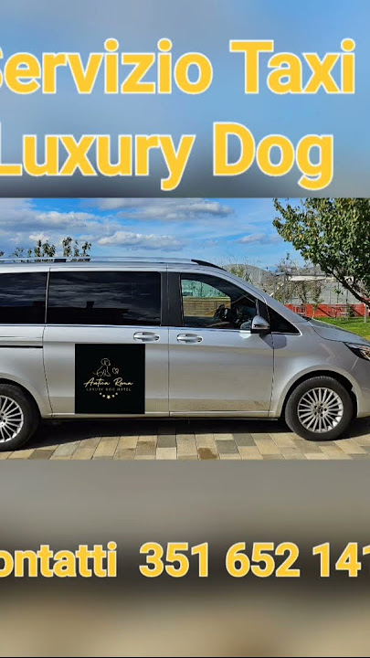 LA MIGLIORE PENSIONE PER CANI IN ITALIA LUXURY DOG HOTEL A ROMA CORSI DI NUOTO PER CANI