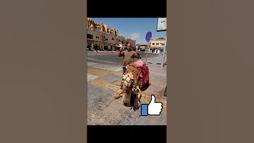 ورب الكون مقويني على اللي بشوفه في سنيني 
