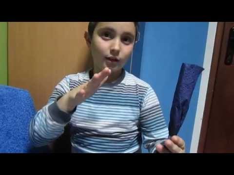Video: Kako Naučiti Hrčka Da Izvodi Trikove