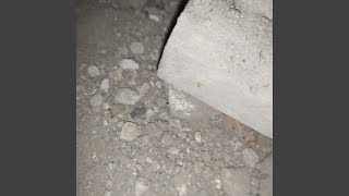 Download Lagu Api Semangat MP3