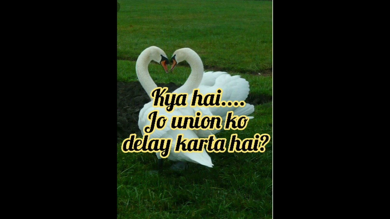 Kya hai..... Jo union ko delay karta hai?