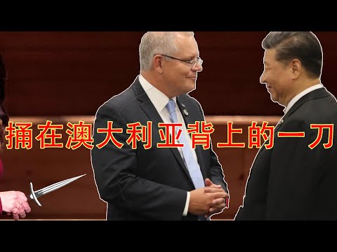 最亲的盟友,在背后捅了澳大利亚一刀。白左为什么每次都是中共的帮凶?(坐澳观天第273期 20210129)