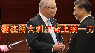 最亲的盟友,在背后捅了澳大利亚一刀。白左为什么每次都是中共的帮凶?(坐澳观天第273期 20210129)