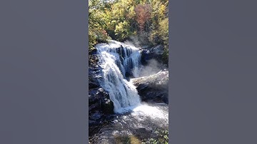 water image and mirror image short video.Water image in Reasoning.#skbanglablog