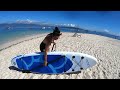 Paddle surf a Islote Areoso en la Ria de Arousa