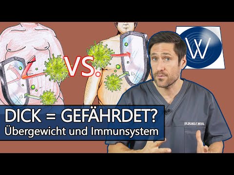 Video: Übergewicht beeinträchtigt die Immunität