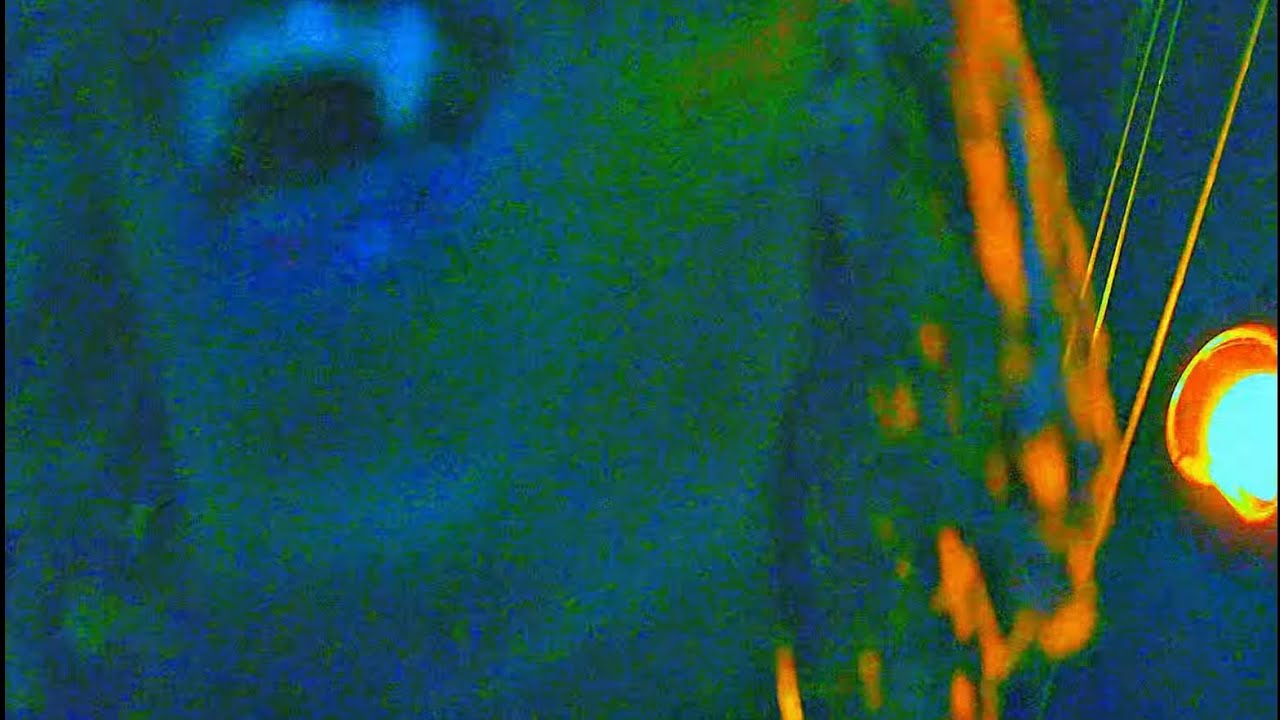 Missing.Ryn - It's Been Real (Music Video)