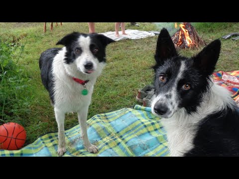 Reika's and Bella's trip to Mannings pit.