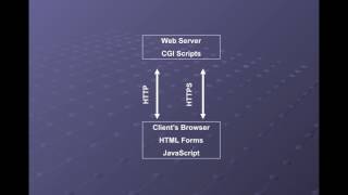 Celebrity CNIT 123 10: Hacking Web Servers (Part 1) Net Worth