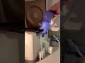 Learn how to centrifuge with glovie the phlebotomist!! #phlebotomy #phlebotomist #healthcare