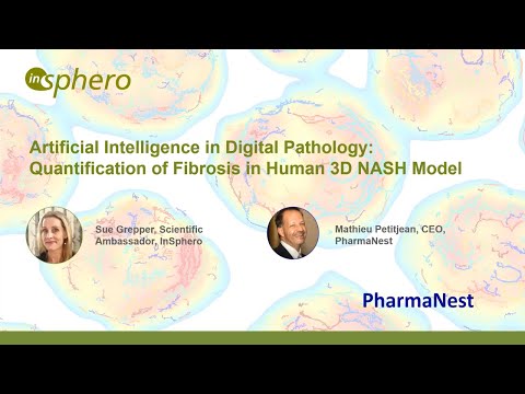 Artificial Intelligence in Digital Pathology: Quantification of Fibrosis in Human 3D NASH Model