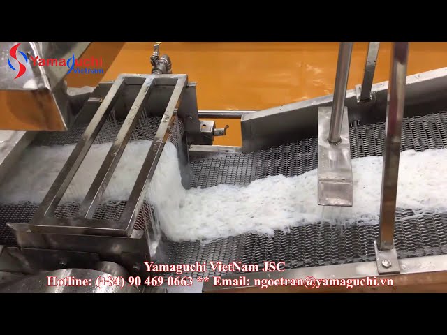 Fresh rice vermicelli making machine 180kg/h. Rice vermicelli machine