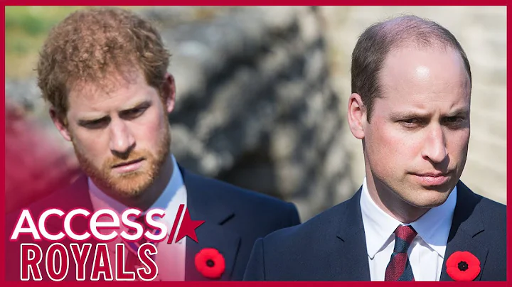 Prince Harry & Prince William Bombshells From New Book