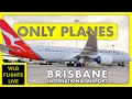  live sunday plane spotting at bne w atc  brisbane international airport australia 