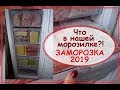 Заморозка овощей и фруктов 2019. Что у нас в морозильной камере?! Насушили на компоты))