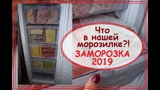 Заморозка овощей и фруктов 2019. Что у нас в морозильной камере?! Насушили на компоты))